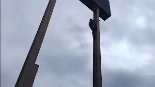 Billboard Climb in the Bag