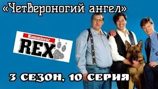 Комиссар Рекс, 3 сезон, 10 серия «Четвероногий ангел»