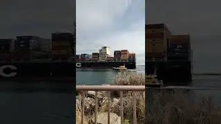 MSC Tomoko Panama Container Ship 🚢