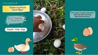 GATHERING FRESH DUCK 🦆 EGGS 🥚 🇵🇭🇨🇦