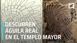 Hallan escultura de Águila Real en el Templo Mayor - En Punto