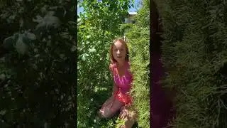 100% способ как укоренить ветку розы ❤️