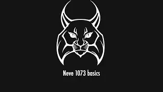 Neve 1073 basics