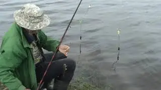 Рыбалка на  городском пляже + бонус в виде анекдота!