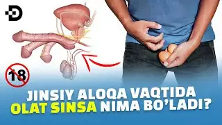 ЖИНСИЙ АЛОҚА ВАҚТИДА ЖИНСИЙ ОЛАТ СИНИШИ МУМКИНМИ?