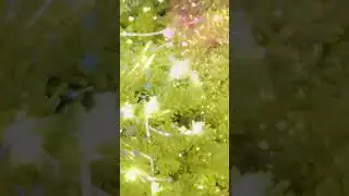 Уже совсем скоро Новый год - С Наступающим Новым годом #shortsvideo