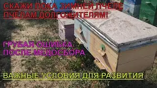 ГРУБАЯ ОШИБКА ПЧЕЛОВОДОВ будут ОЧЕНЬ СЛАБЫЕ ПЧЕЛИНЫЕ СЕМЬИ и НЕ ПЕРЕЗИМУЮТ  ВРЕМЯ НАБОРА ПЧЕЛЫ ✅☝️🐝