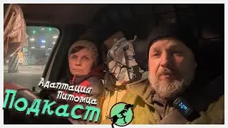 Как помочь адаптироваться питомцу адаптироваться на новом месте?