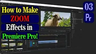How to ZOOM IN in Premiere Pro CC 2023 & how to do video transitions - Class 03