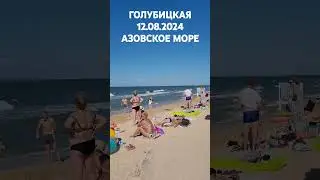 Это кайф! 12.08.2024 #Голубицкая, пляж у Бочки. Азовское море