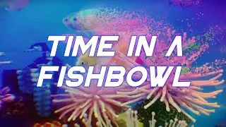 Time in a Fishbowl (Lyric Video)