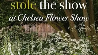 These Plants Stole The Show at the RHS Chelsea Flower Show