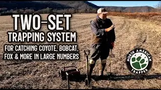 BEST TWO SETS for COYOTES ~ The TWO-SET / DOUBLE UP Trapping System for catching large numbers
