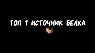 ТОП 1 ИСТОЧНИК БЕЛКА 🐿️