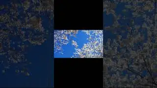Музыка, успокаивает нервную систему
