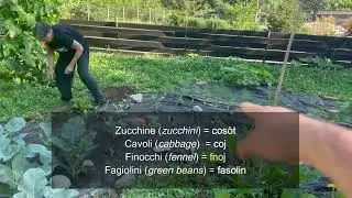 Learn Piedmontese Vocabulary: Local Mountain Vegetables and Canals in Meana di Susa