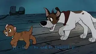 Tag, You're It - Dodger/Simba