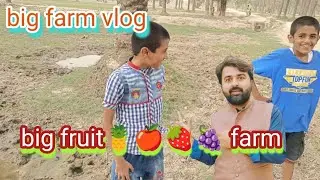 big farming life vlog ||green forest farm latest video ||daily life style village vlog