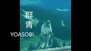 Screaming Beaver but it's Yoasobi Meme Edit