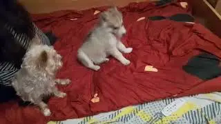 Пацан отдыхает