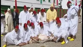 أمير المؤمنين ينحر أضحية عيد الأضحى بمدينة تطوان