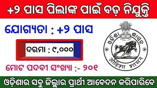 Odisha Govt Jobs Big Vacancy 2020 ! Odisha Job Updates 2020 ! Odisha Job ! 12th Pass Jobs !