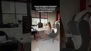 Два помощника, которые освободили мою жизнь и работу 👌