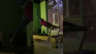 ТРЕНИРОВКА НА РЕФОРМЕРЕ 