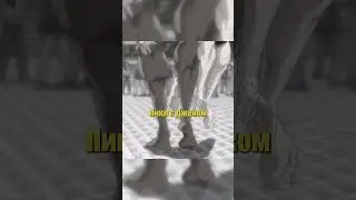 Джек в отчаянии😡😱| Боец Баки 6 сезон | 