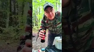 Пикник в Лесу🍤🌲 #креветкирецепт