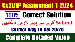 CS201p Assignment 1 Spring 2024 || CS201P Assignment 1 Solution 2024 || CS201p Assignment 1 2024