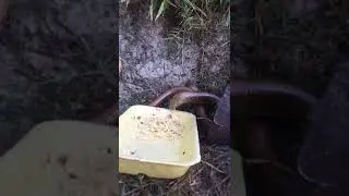 УЖ ДОМА СОЧИ