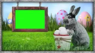 Green Screen easter bunny frame