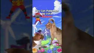 POV Pokemon cats as cat Memes  😻 #pokemon #cat #catmemes #catfunny #fyp #foryou #foryourpage #fypシ