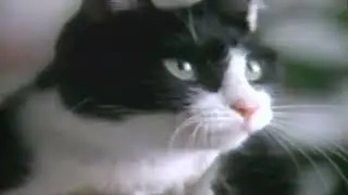 Retro Friskies Cat Food Commercial 1997 Bring Out The Frisky In Your Cat