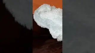 ПЫЛЬ долго не появится, новый способ уборки
