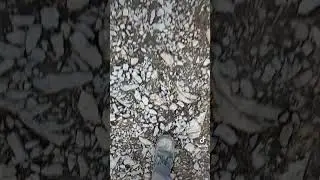 Climbing a mountain for Zelda…!