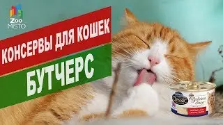 Консервы для кошек Бутчерс | Обзор консервы для кошек Бутчерс