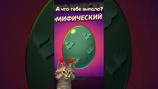 Brawl Stars 😹 
