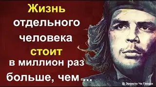 Лучшие цитаты и афоризмы о смысле жизни, свободе и независимости. Цитаты. Мудрые слова