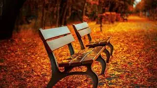 Calming Music - Relaxing & Stress Relief Instrumental Music Track · (FREE MUSIC)