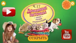 Домашние питомцы. Твоя ПЕРВАЯ энциклопедия! Часть 17