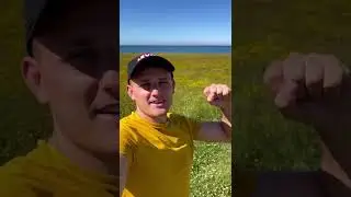 Вот и лето прошло