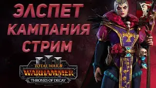 🔴ЭЛСПЕТ  - THRONES OF DECAY | TOTAL WAR WARHAMMER 3