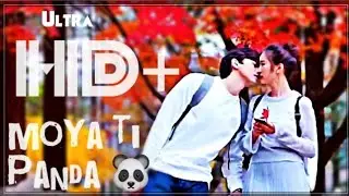 ™🌹Ты моя панда🐼Моя ты пропаганда 🥀™