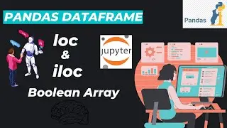 10. loc & iloc With  Boolean Array | Python Pandas Tutorial