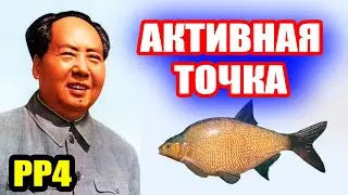 Где сейчас ЛЕЩ на оз. ОСТРОГ? ● Русская Рыбалка 4 | РР4
