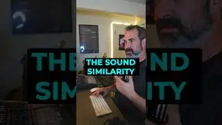 Ableton Live 12 Sound Similarity is crazy! 
