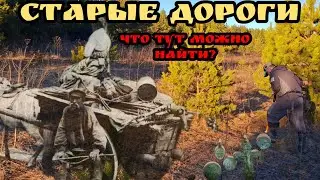 Коп монет по лесным дорогам Поиск Царских монет и старины xp orx Старый тракт Сколько тут монет?