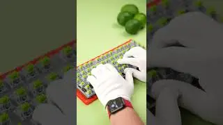 LIME Themed Mode Sonnet Custom Keyboard